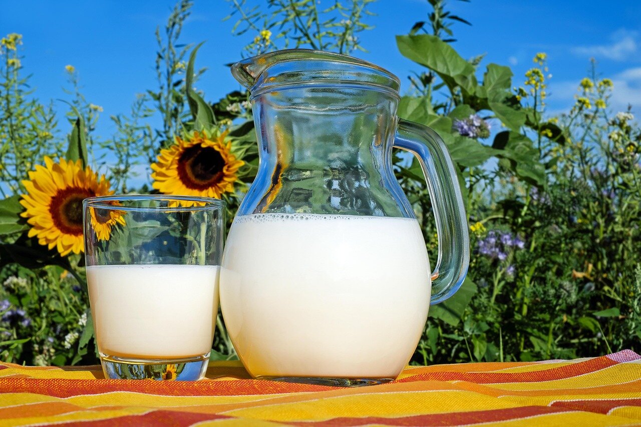 An array of seal milk products, including yogurt and smoothies, highlighting their vibrant packaging and appealing presentation