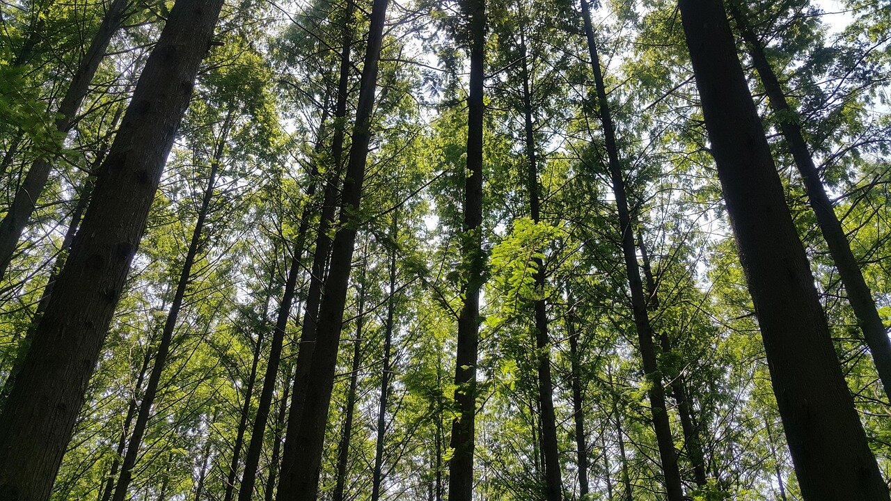 A classroom setting where students are learning about the dangers of excessive social media use, emphasizing the importance of balancing online activities with academic responsibilities