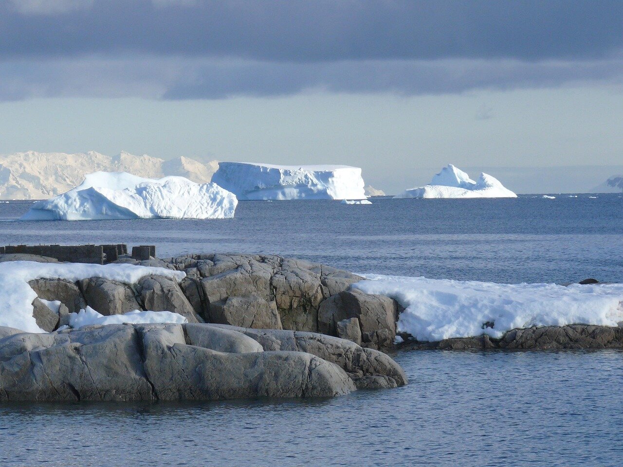 Researchers examining samples from Antarctic marine life, highlighting the collaborative efforts in the search for melanoma treatments