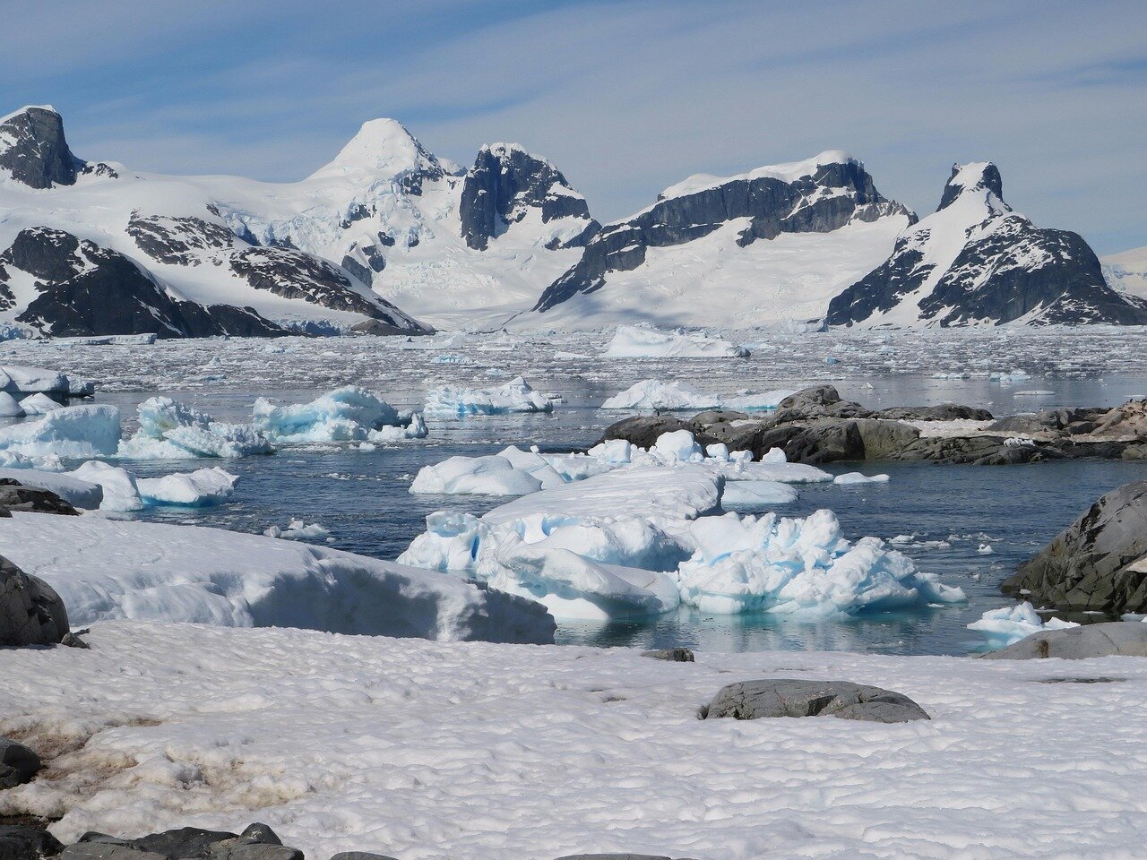 A laboratory setting where scientists conduct experiments on proteins derived from Antarctic organisms to study their anticancer properties