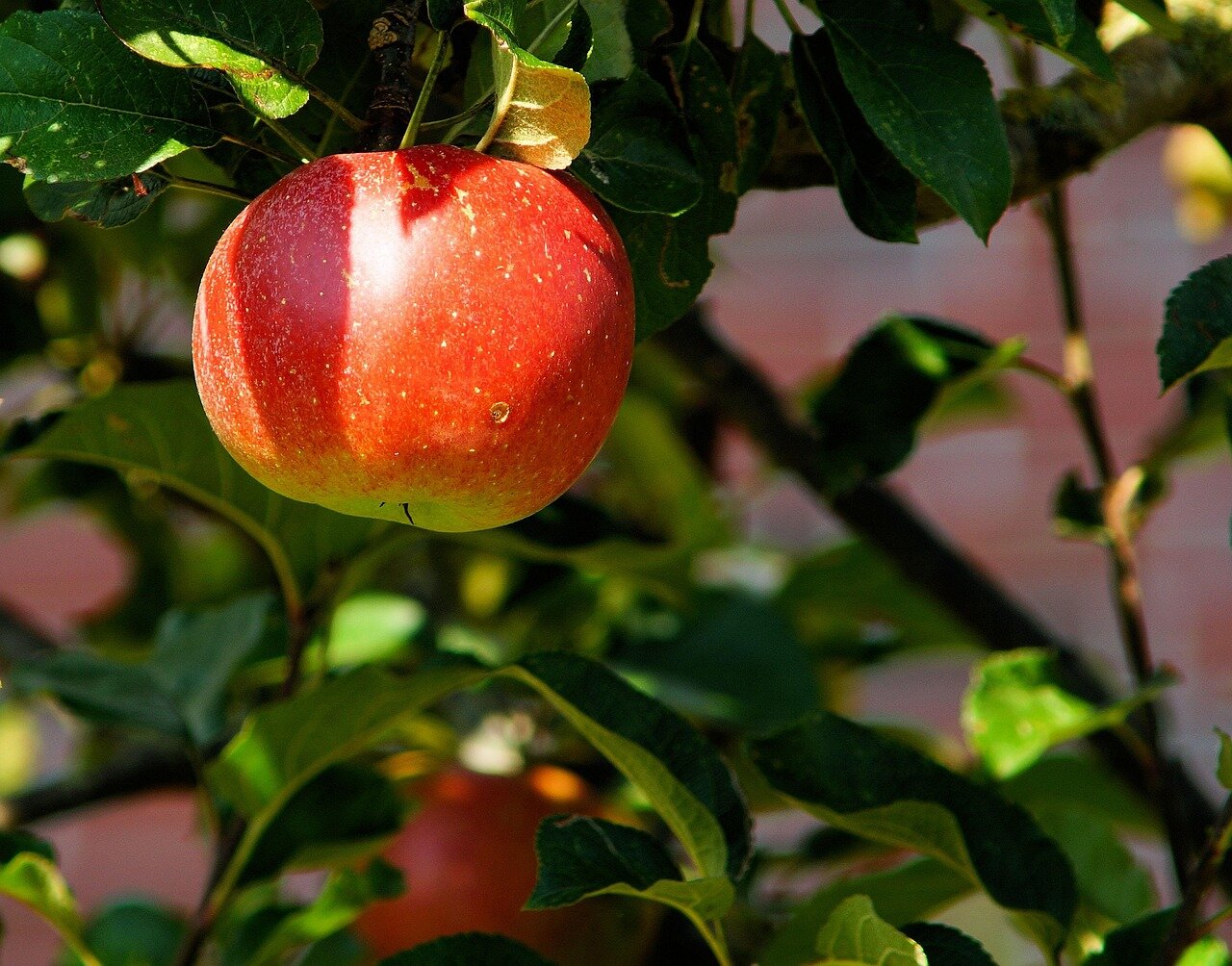 Legal representatives strategizing in preparation for the upcoming court proceedings related to the Apple case