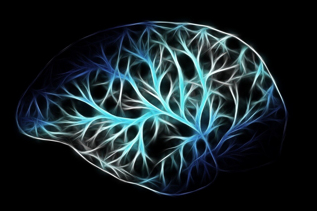 A researcher observing brain activity through neuroimaging technology, illustrating the scientific exploration of how the brain processes multiple languages