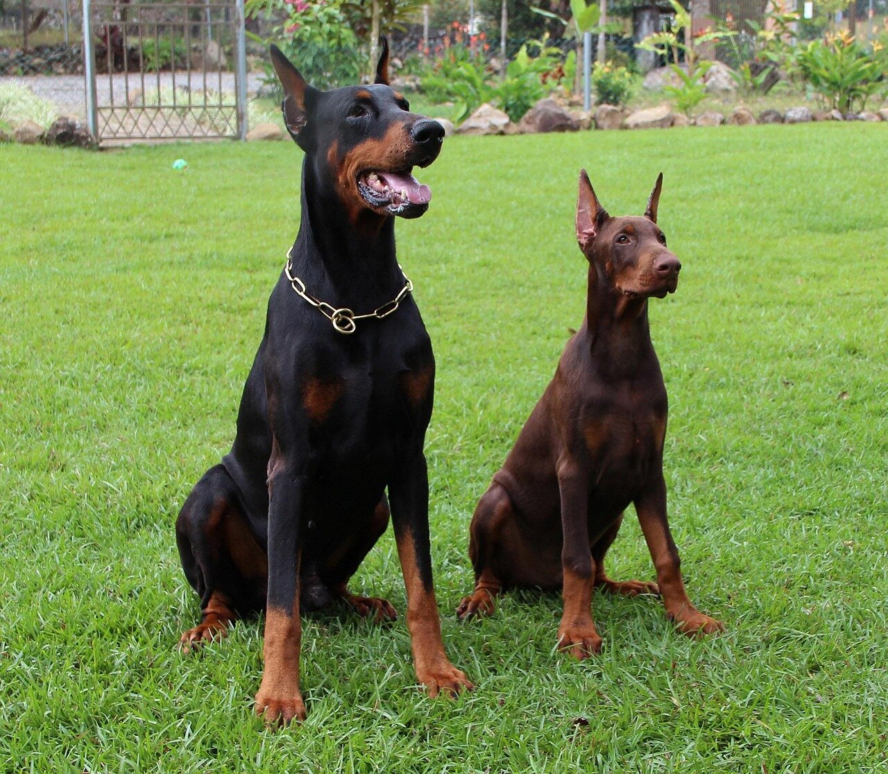 Fans gather outside a venue discussing the recent reunion episode of Summer House The Aftermath, expressing mixed opinions about the treatment of cast members and the show's direction.