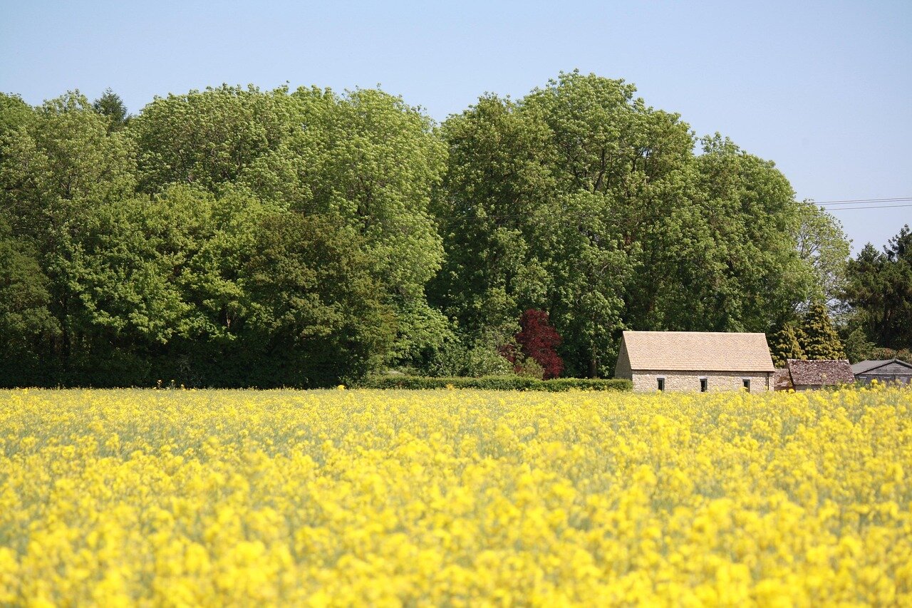 Community members engage in discussions about pollution concerns, emphasizing the importance of collective action to preserve the Cotswolds' natural resources