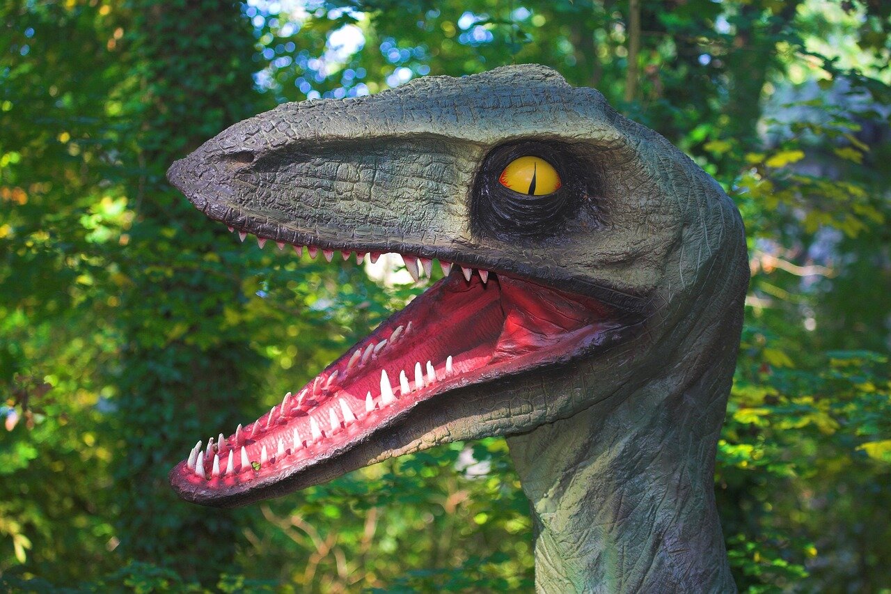Fossil records showcasing the gradual recovery of biodiversity in the aftermath of the extinction event