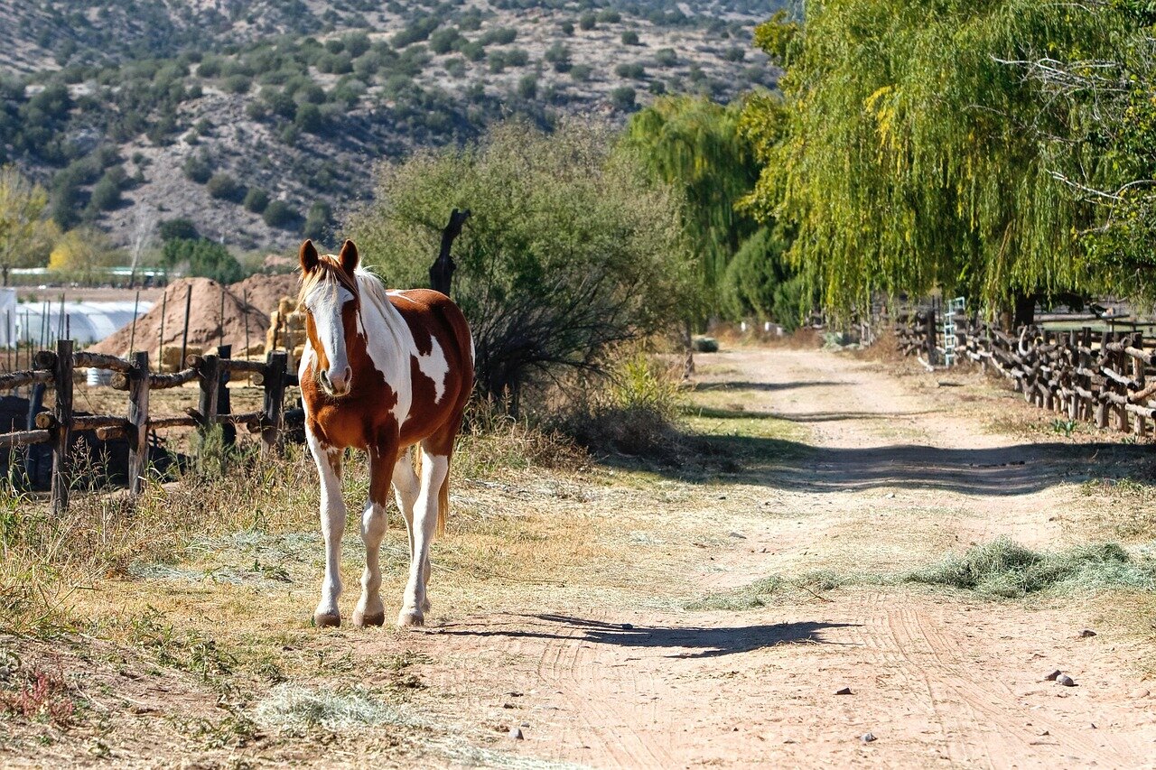The emotional fallout experienced by the ranching community as they grapple with the implications of recent tragic events