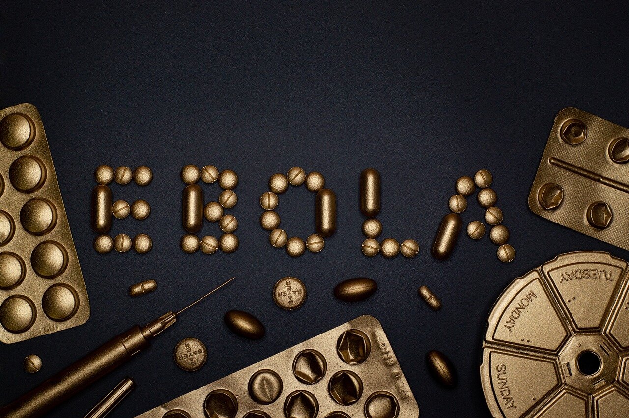 The socioeconomic impact of the Ebola outbreak is evident as local businesses and healthcare systems struggle under increased pressure