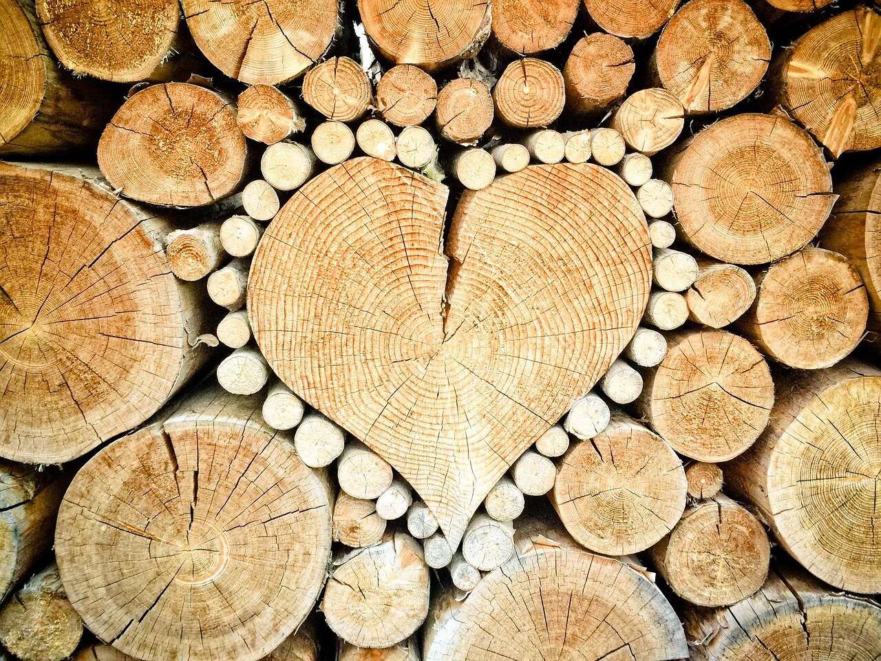 A public lecture setting where Wood passionately addresses an audience, demonstrating his commitment to making history accessible to all