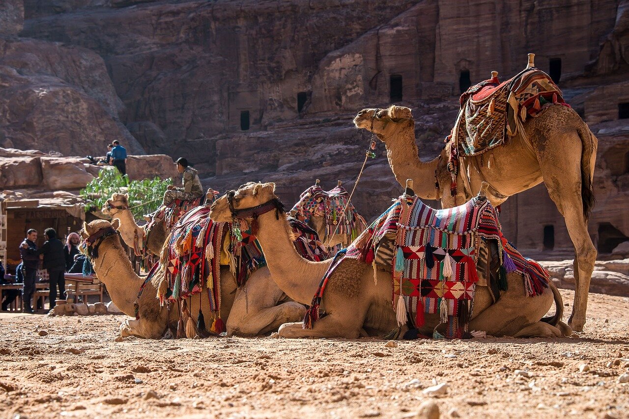 A film crew sets up equipment near the ancient ruins of Petra, showcasing Jordan's breathtaking landscape as a backdrop for a new movie production.