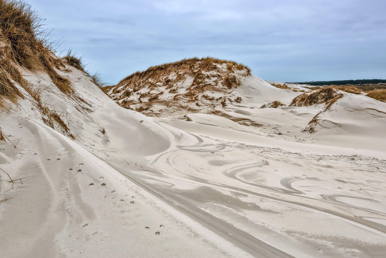 Eroded sea defences at the nature reserve reveal significant structural weakness, highlighting the urgent need for repairs to prevent potential flooding and protect local wildlife.