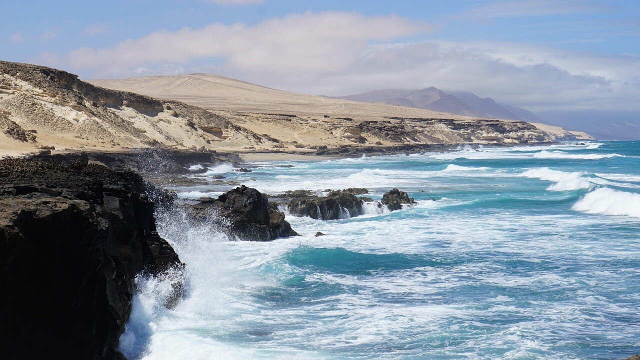 Wildlife species, such as shorebirds, foraging along the coastline, illustrating the rich biodiversity that is at risk due to deteriorating sea defences