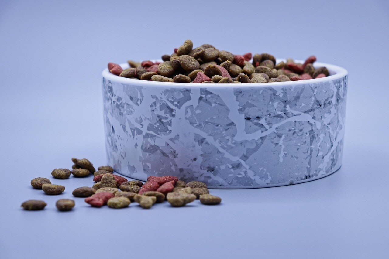 A factory setting where pet food is being produced, illustrating the industrial practices that contribute to microplastic contamination