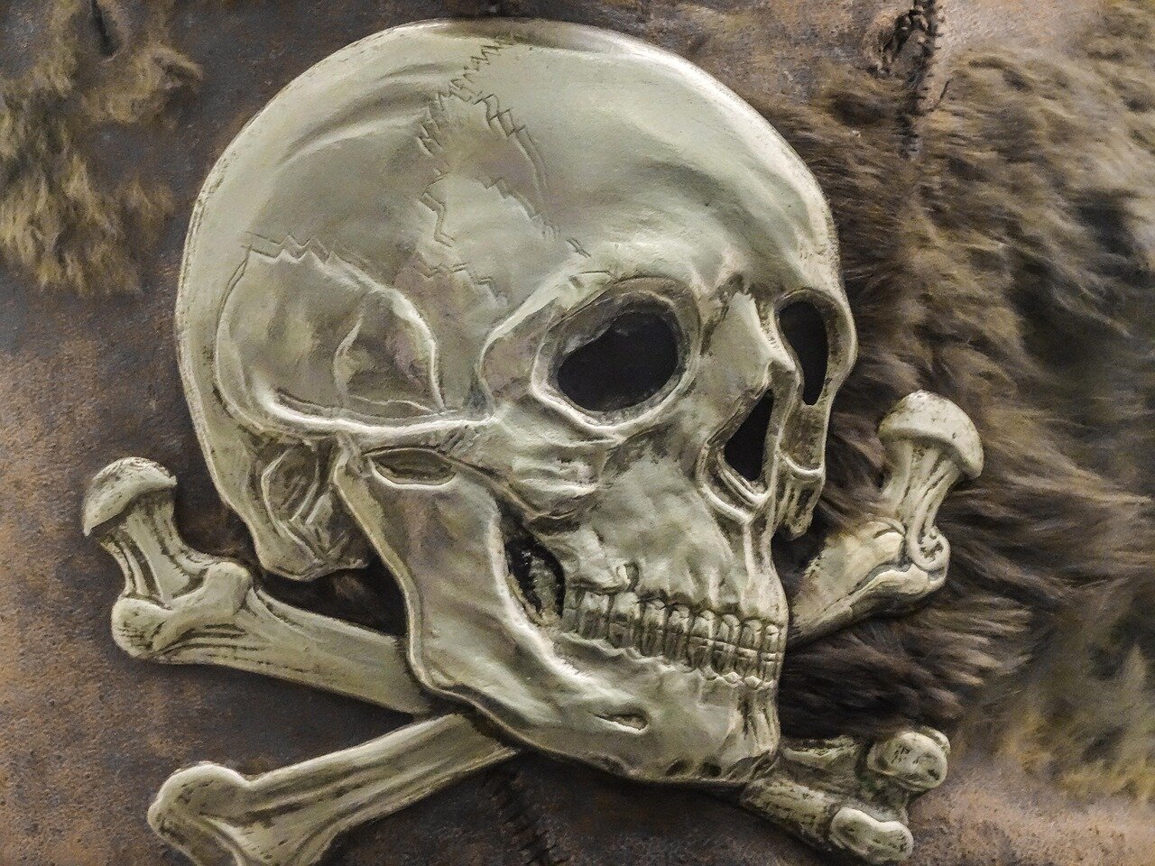 The charred remains of a ship's hull, revealing evidence of a fierce battle or a pirate hideout in the Caribbean