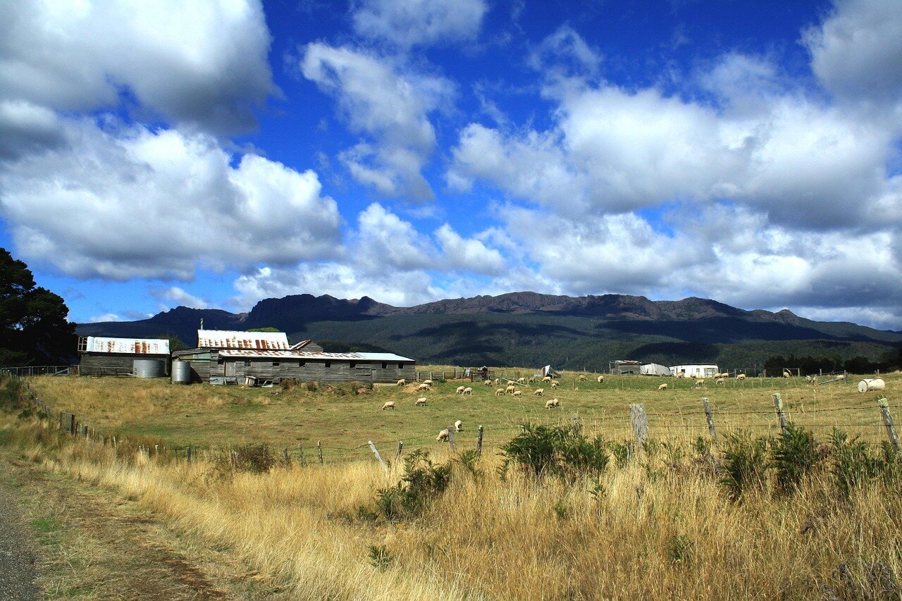 Local Tasmanian community members engage in discussions about the potential benefits and concerns associated with the Black Box project in their region