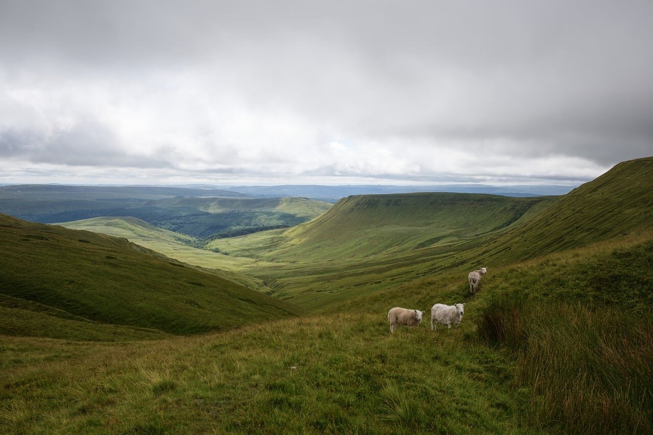 Local businesses prepare for an influx of tourists attracted by the film shoot, illustrating the potential economic boost and excitement within the community as filming progresses
