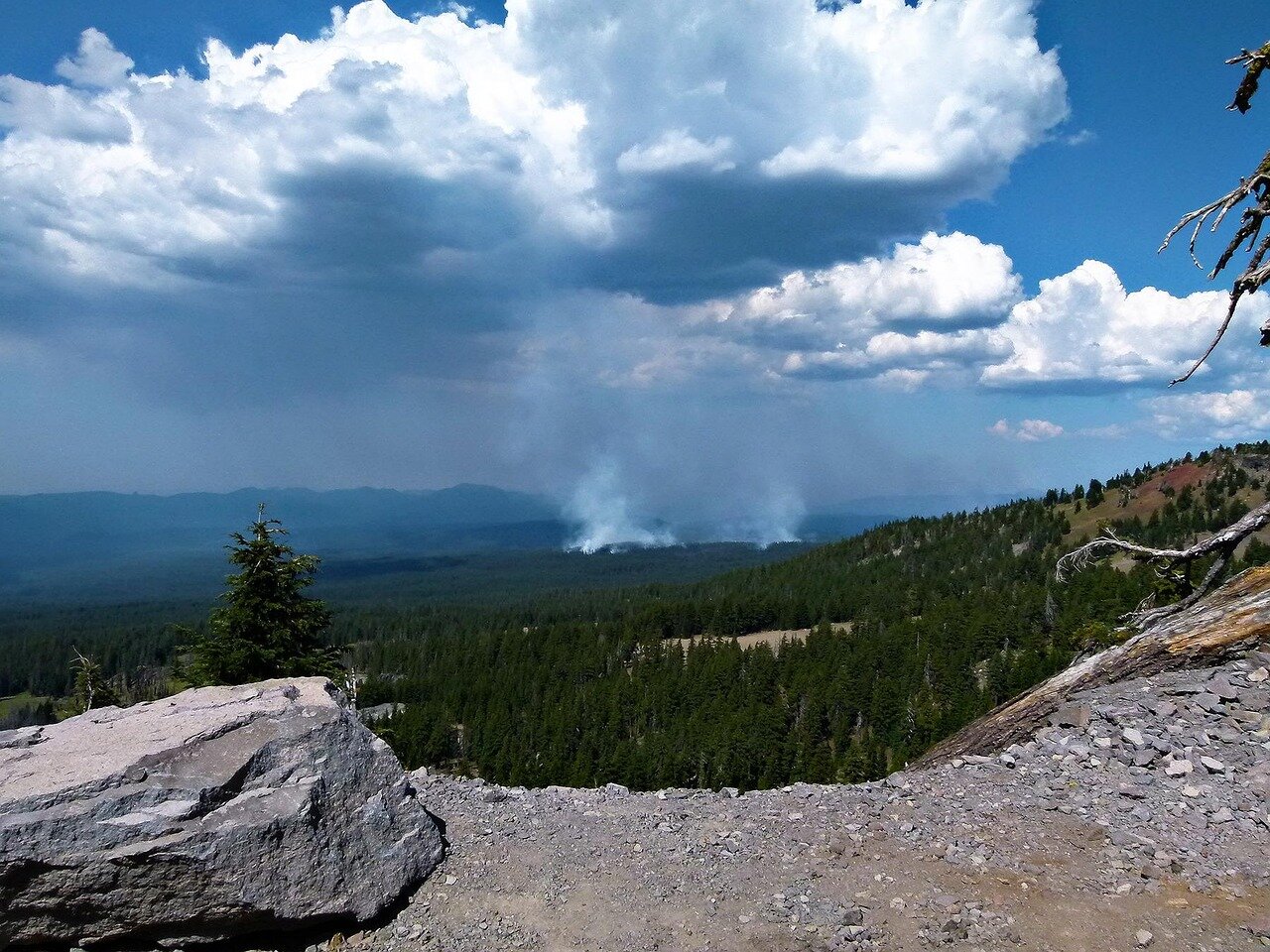 Aerial view of charred landscapes where wildfires have ravaged ecosystems, highlighting the urgent need for sustainable land management practices