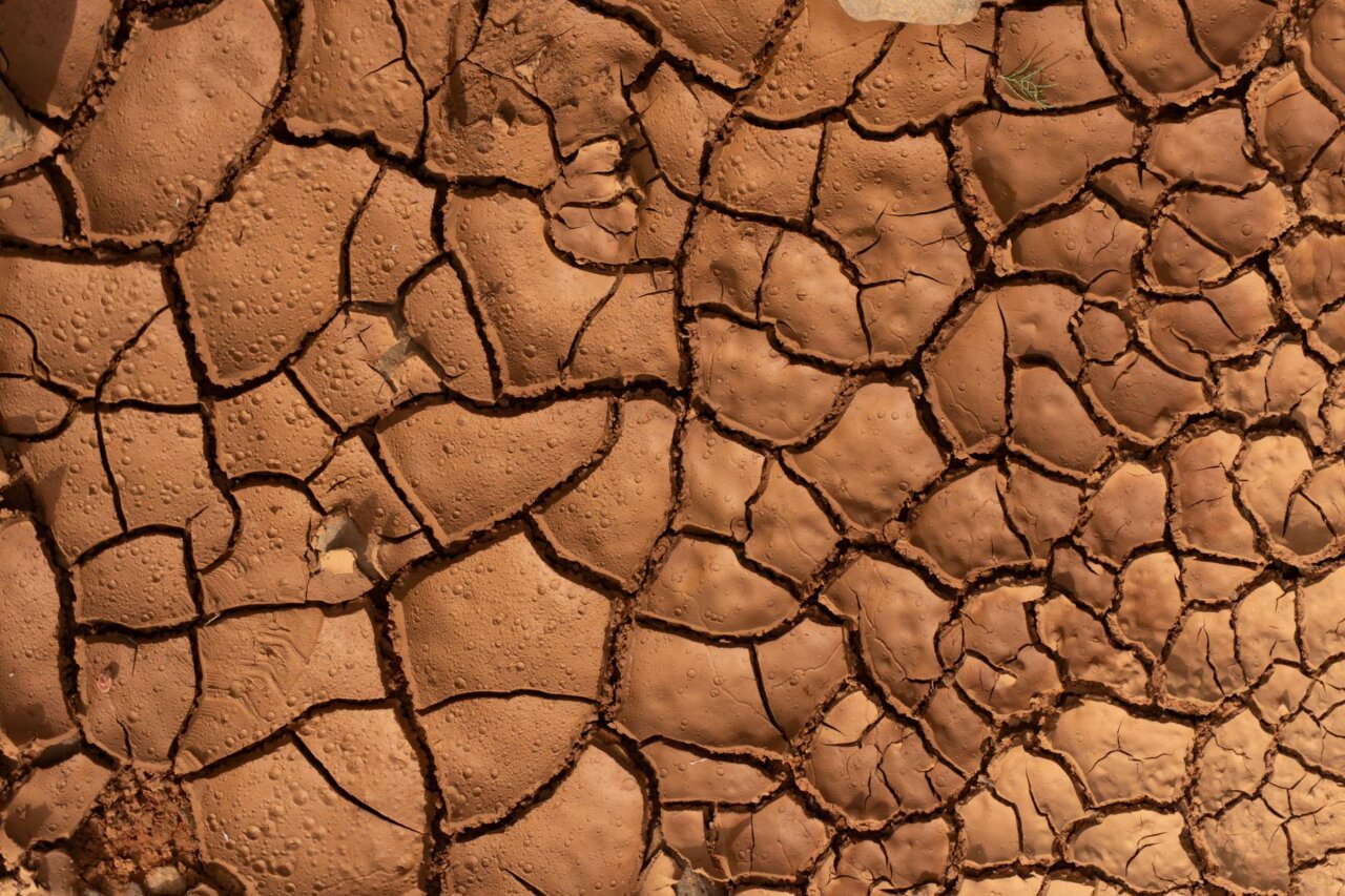 A parched reservoir in California showing signs of depletion due to the ongoing drought and high water consumption