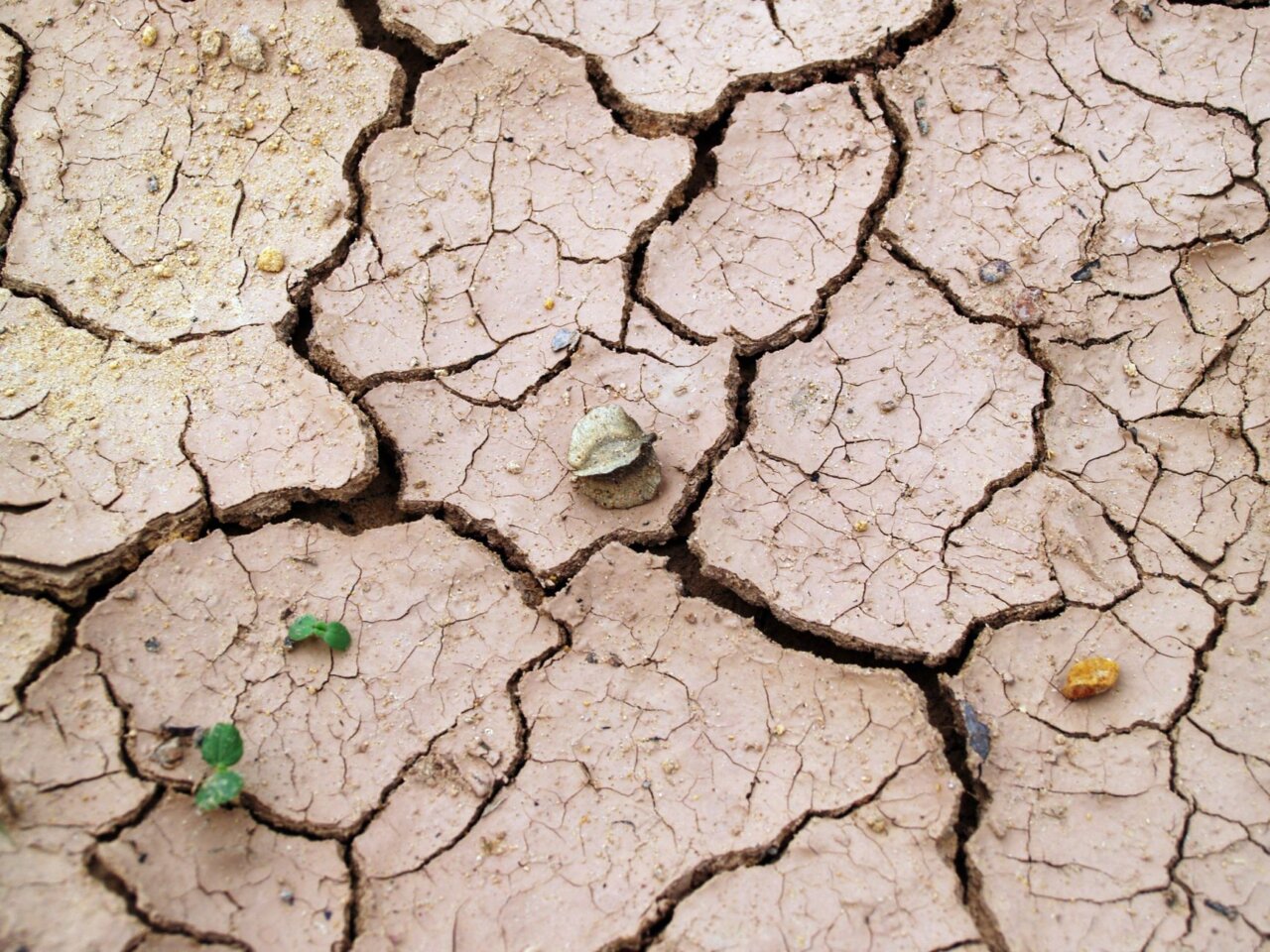Urban officials implementing new regulations to manage water usage and address the challenges posed by a growing population