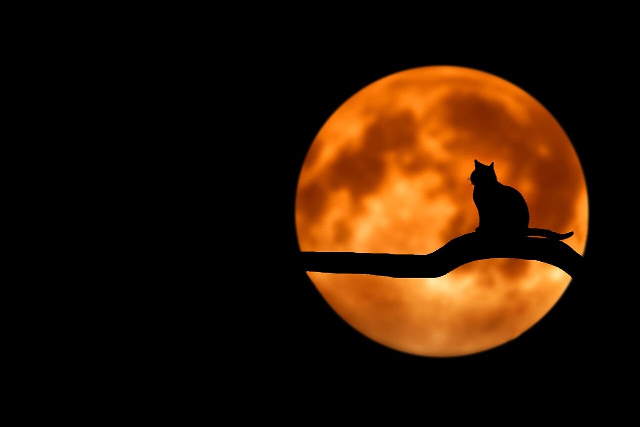 Families and friends celebrating outdoors under the glow of the Strawberry Moon, fostering a sense of community and cultural tradition