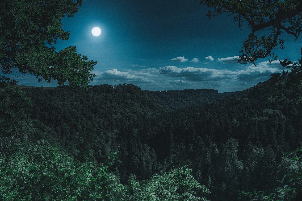 A group of people gathers in an open field under a clear night sky, eagerly pointing towards the bright Strawberry Moon illuminating the landscape.