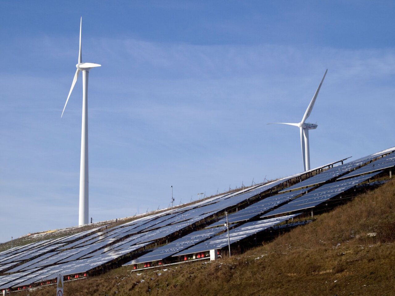 A group of renewable energy advocates discussing the implications of payment delays on consumer trust and future investments in solar technology