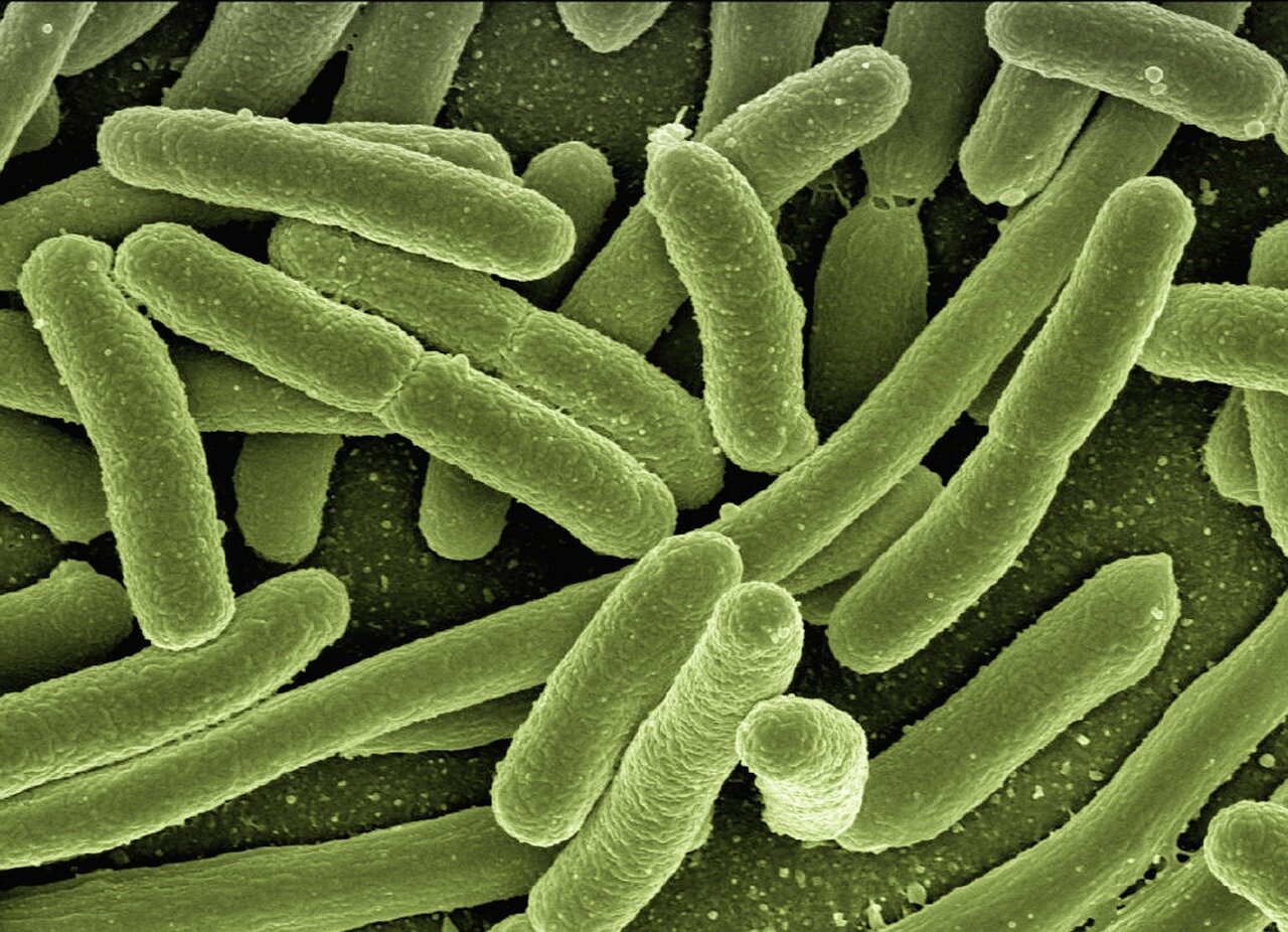 A collaborative meeting among government health officials and scientists discussing strategies for vaccine development and public health preparedness against potential pandemics